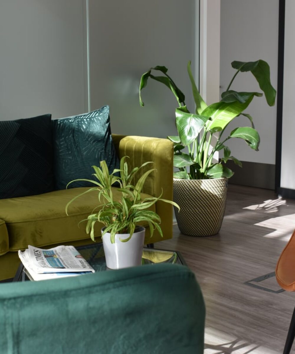 Practice Gallery Image - The Campbell Clinic