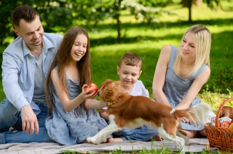 Blog - The Campbell Clinic